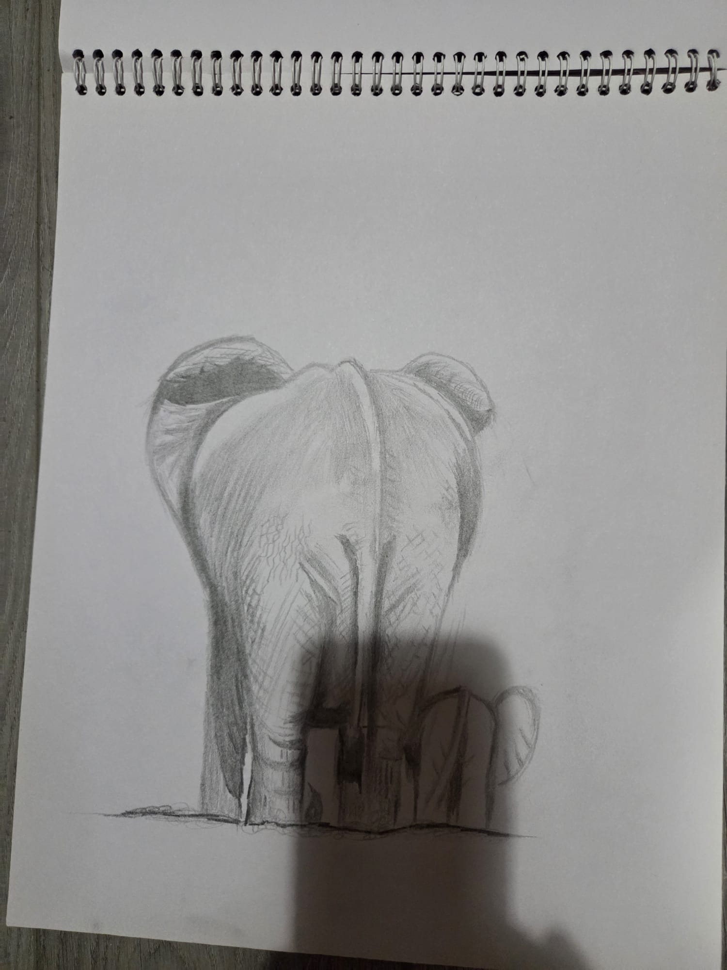 Elephant Pose 2